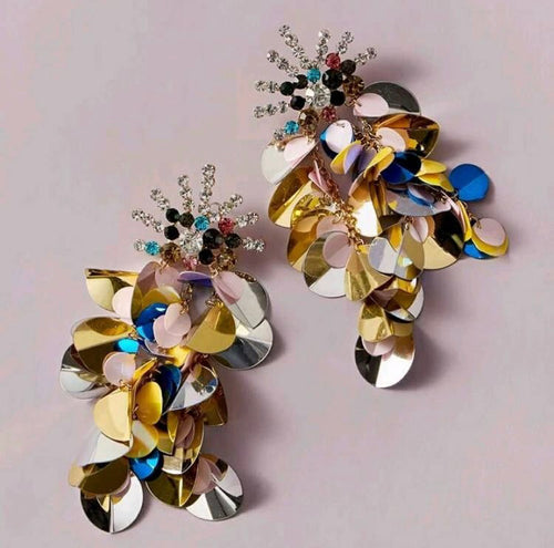 Exquisite Earrings